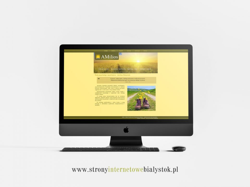 Strony Internetowe Białystok – Amilios