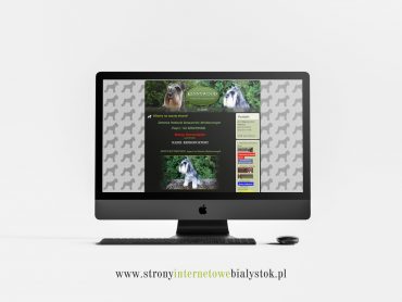 Strony Internetowe Białystok – Kennywood
